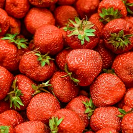 Organic Berries